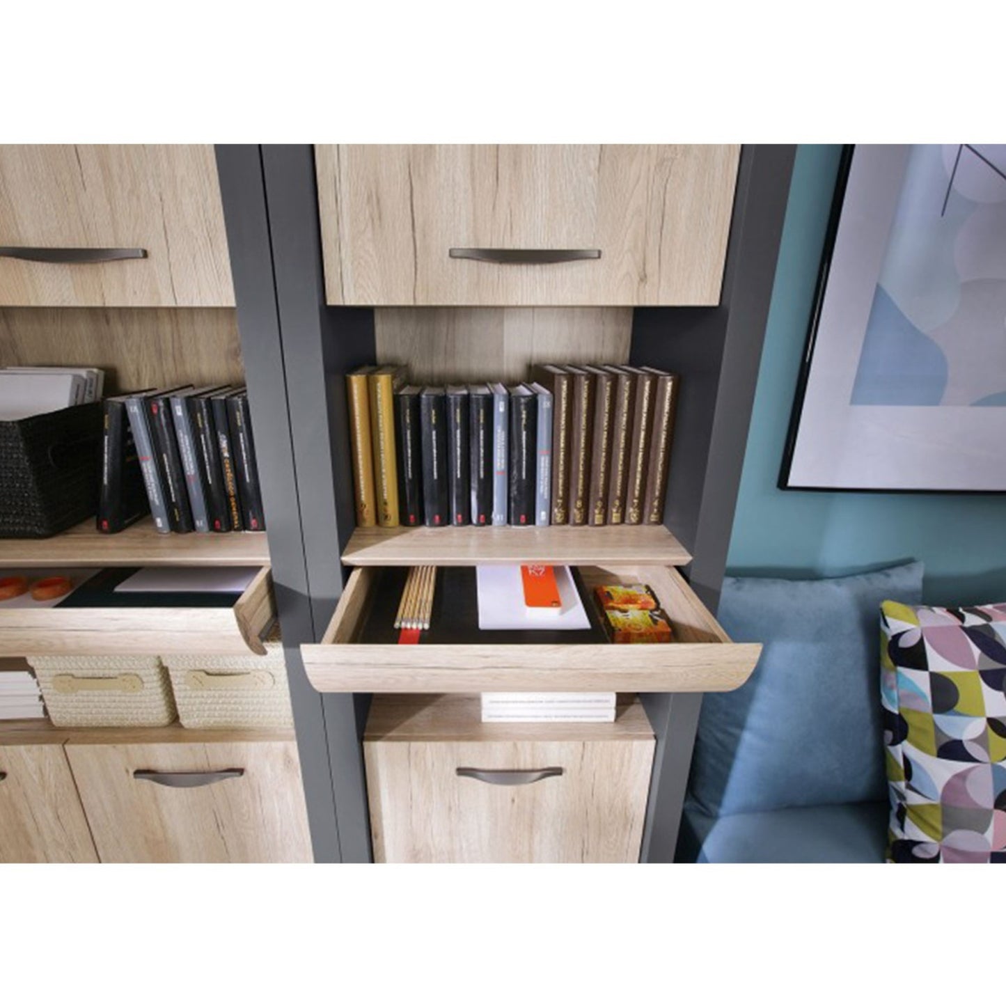 2 DOOR STORAGE CABINET EXECUTIVE