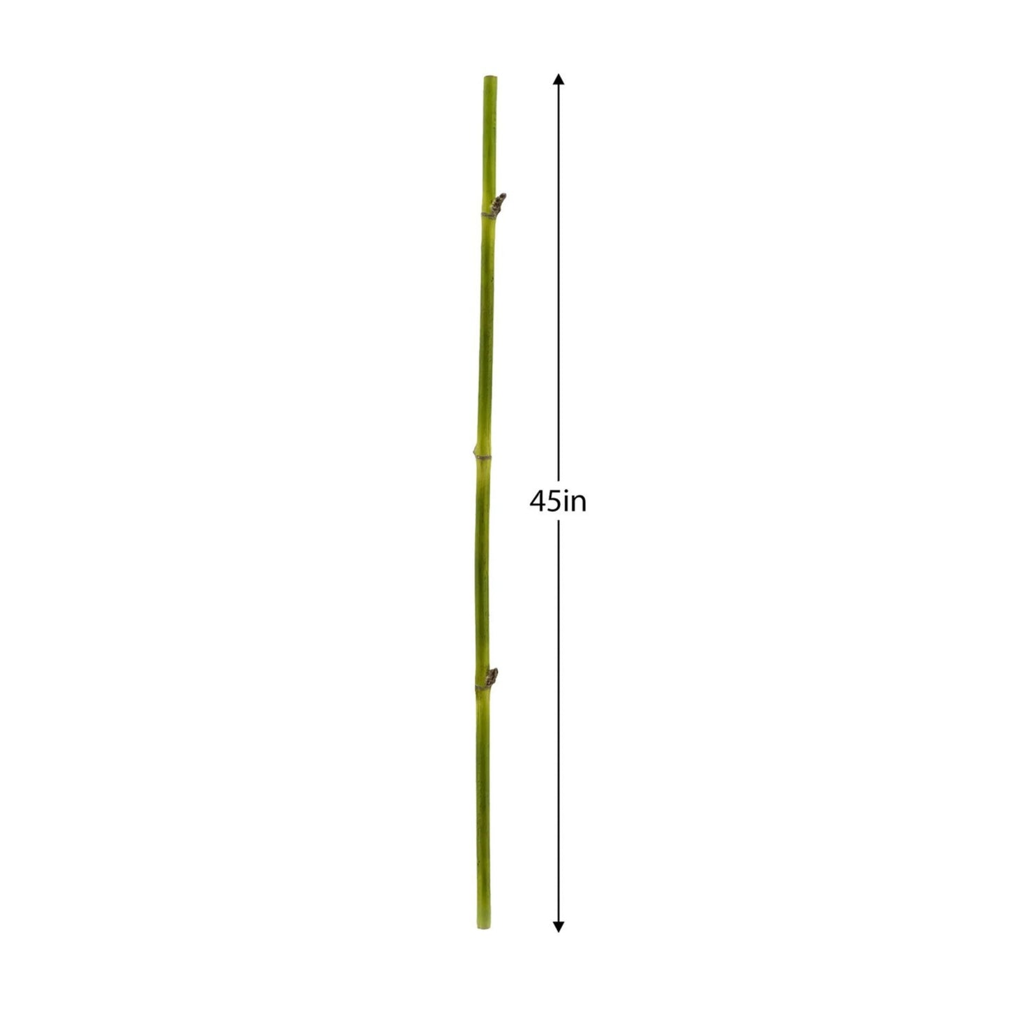 BAMBOO STRAIGHT STEM