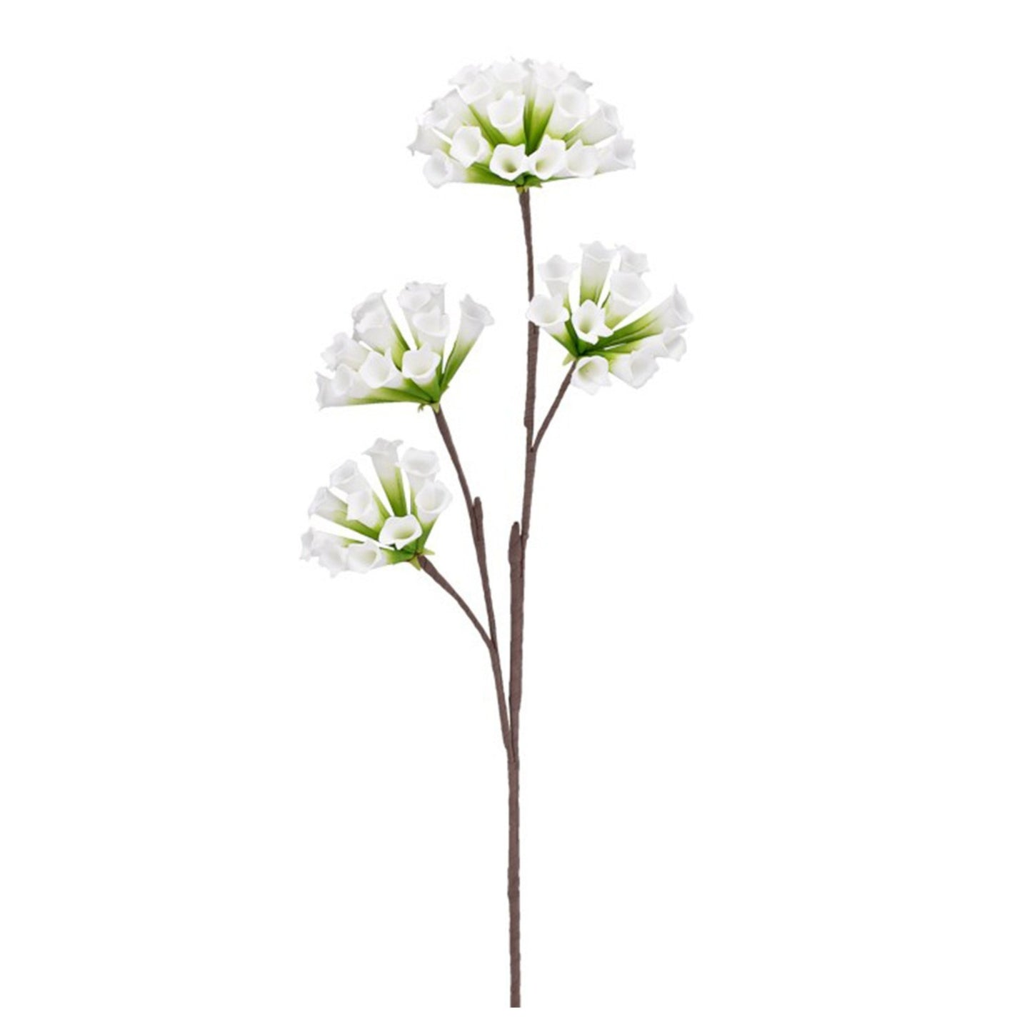 DESERT TRUMPET CLUSTER 94CM STEM