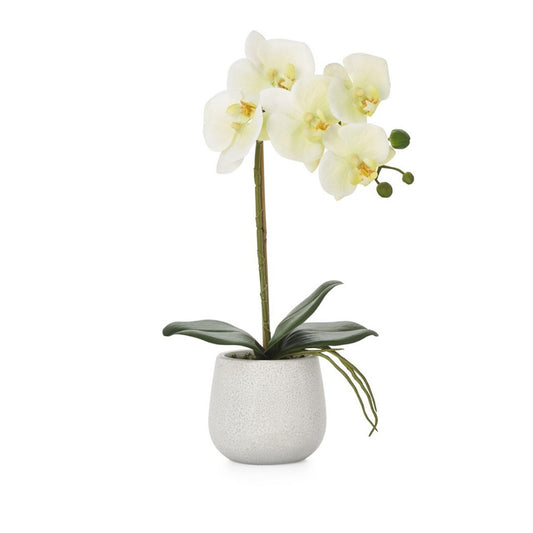PHALAENOPSIS POTTED FAUX ORCHID