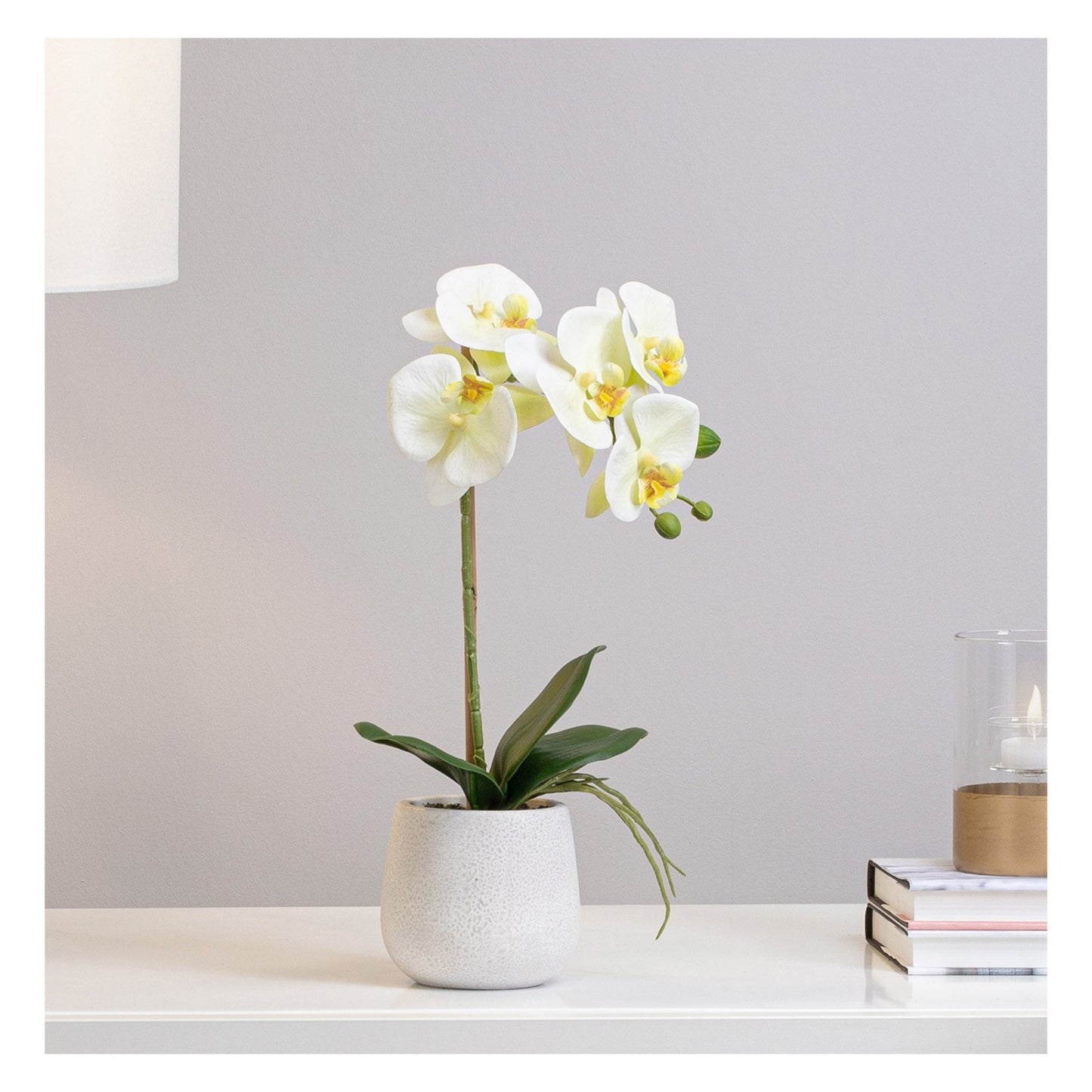 PHALAENOPSIS POTTED FAUX ORCHID