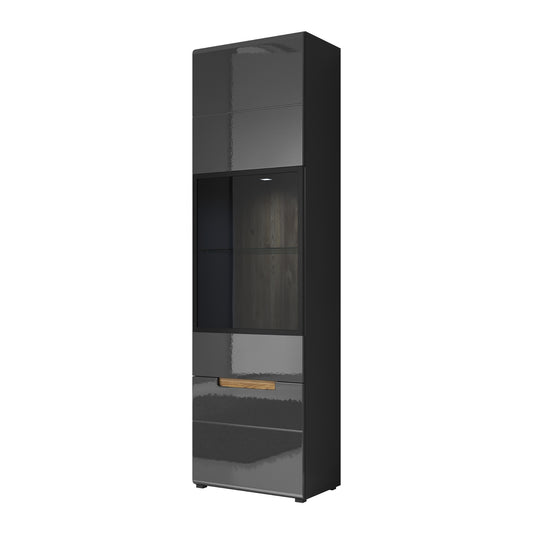 SINGLE DISPLAY CABINET HEKTOR (LEFT SIDE)