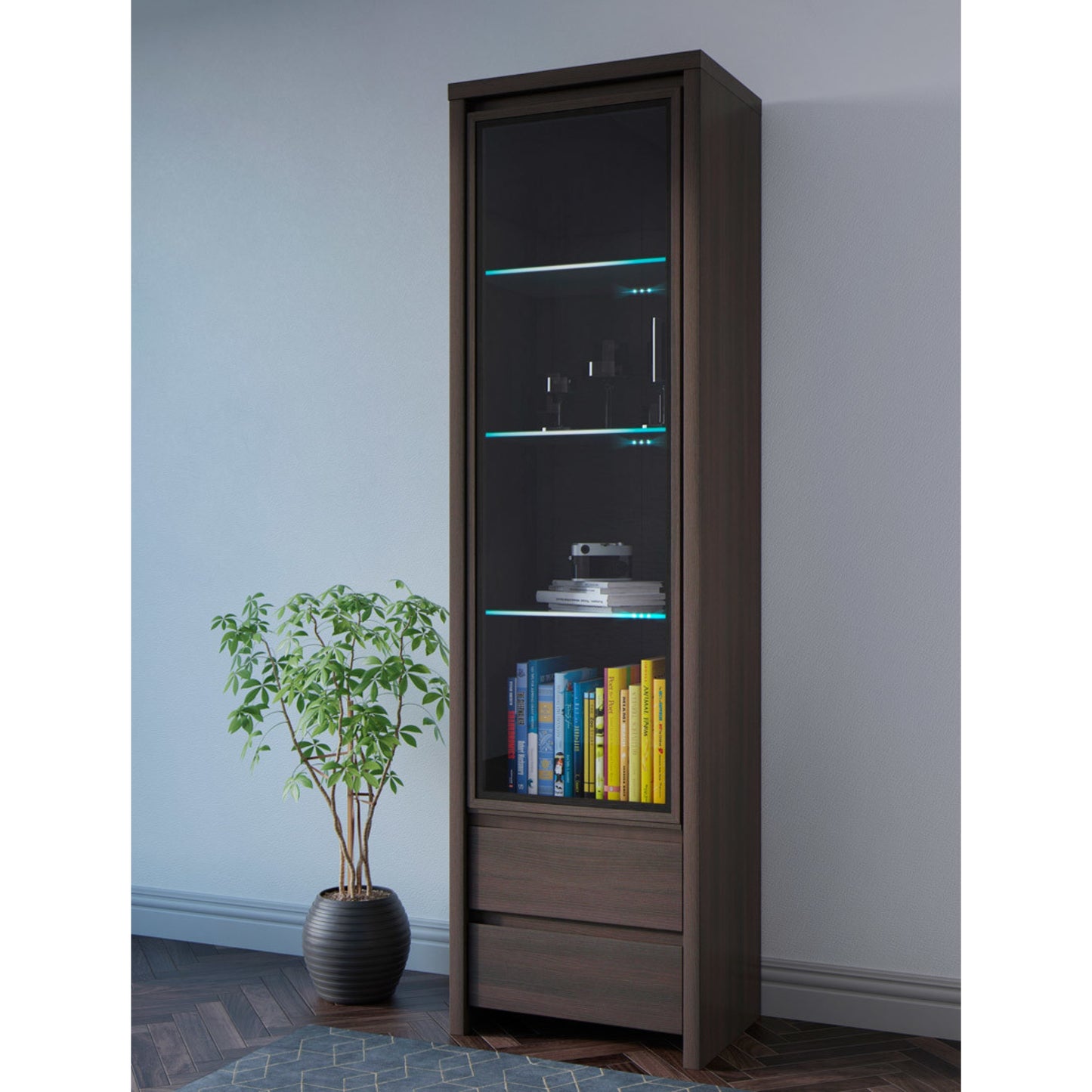 SINGLE DISPLAY CABINET KASPIAN