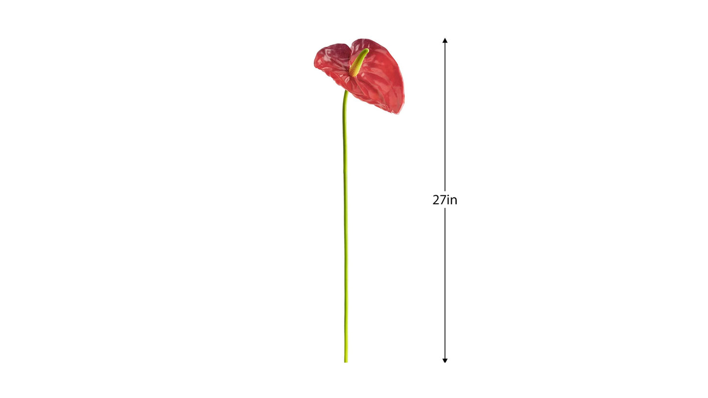 ANTHURIUM STEM
