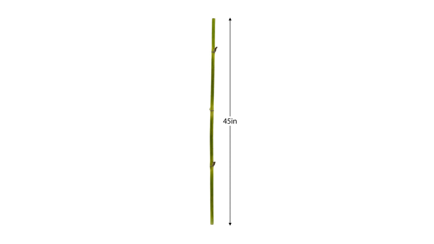 BAMBOO STRAIGHT STEM