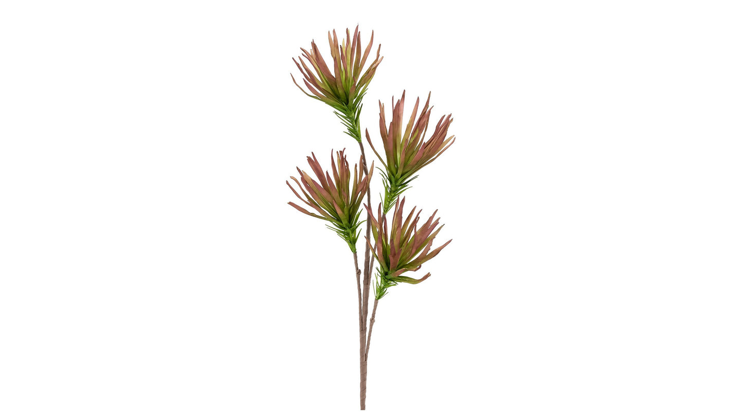 DESERT FRINGE RUBY PAPYRUS 99CM STEM