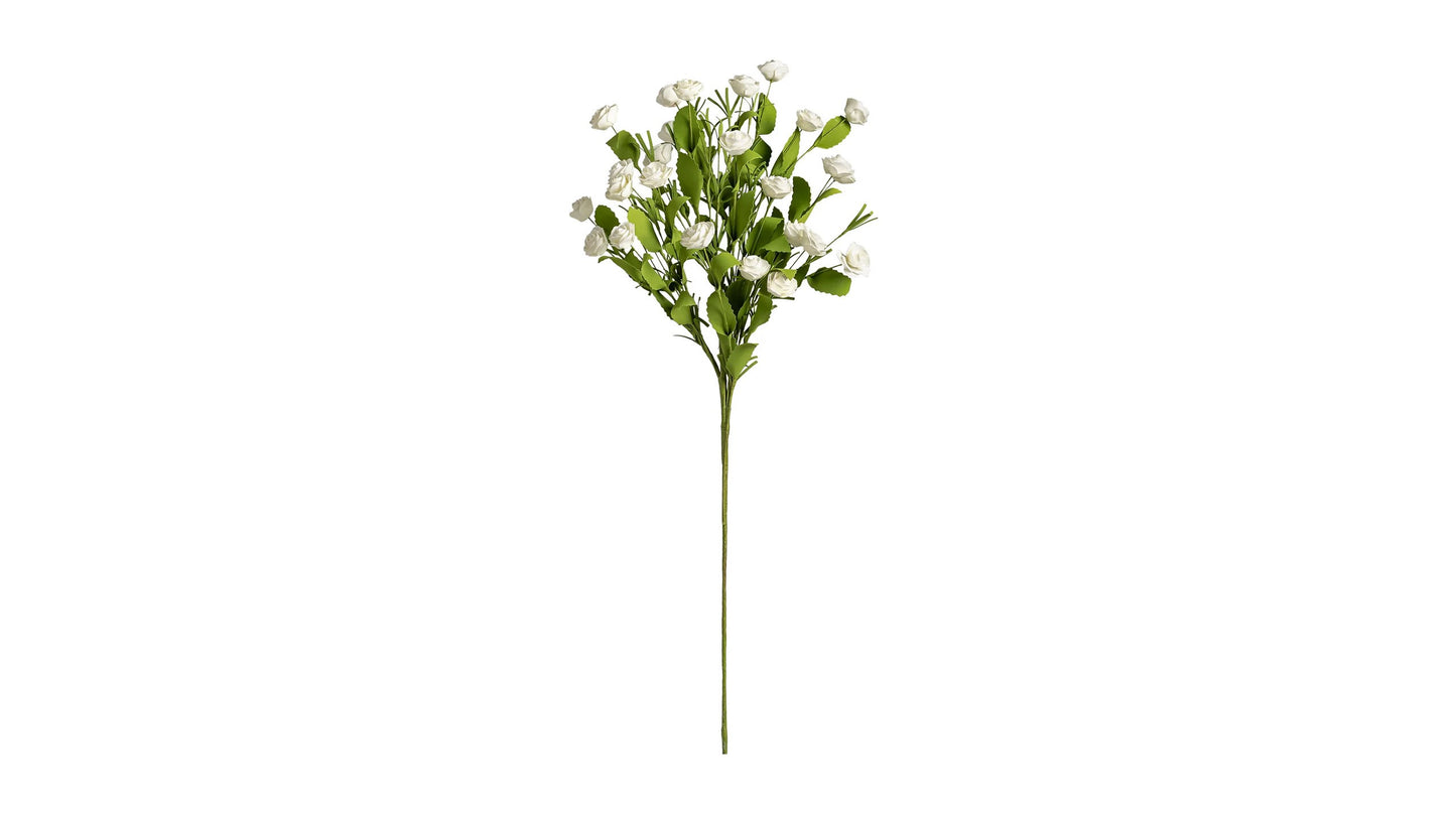 DESERT MINI ROSE STEM