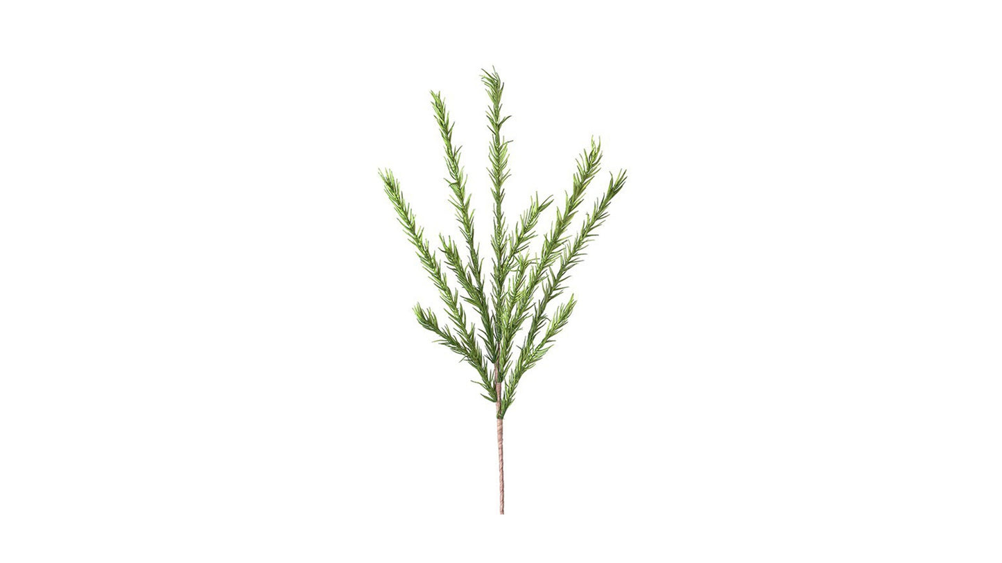 DESERT PINE STEM