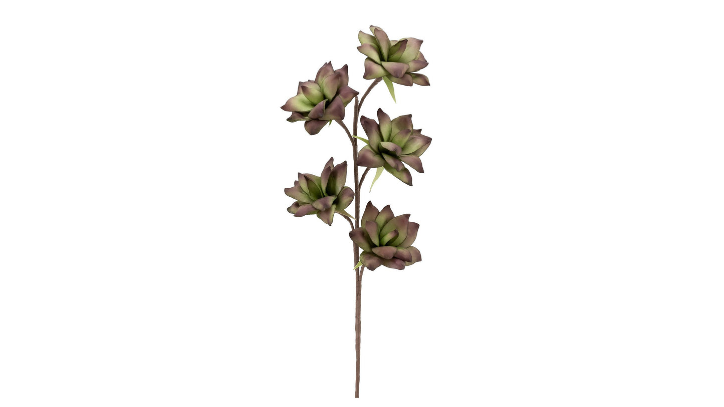 DESERT SUCCULENT 94CM STEM