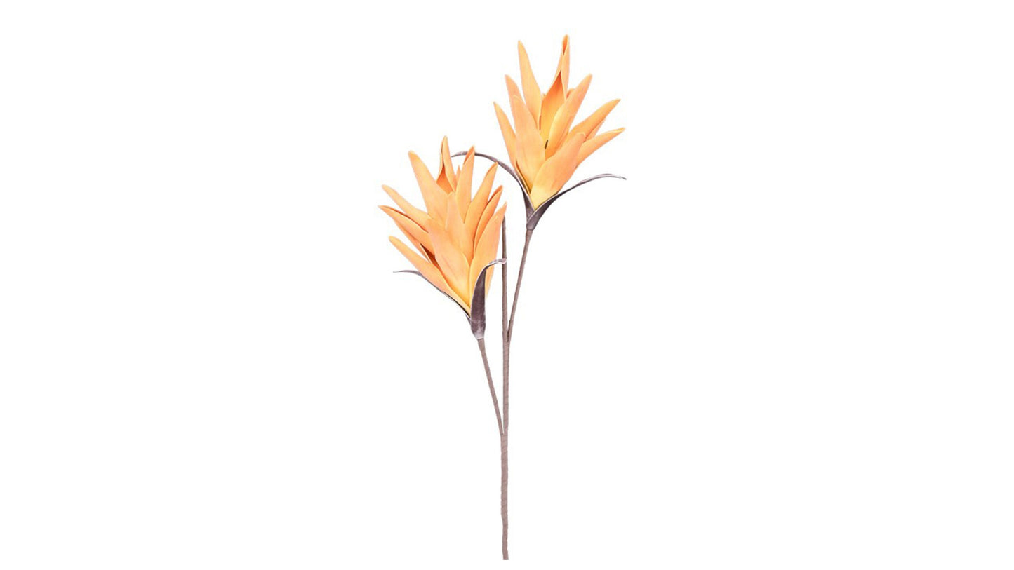 DESERT TROPIC PARADISE 112CM STEM