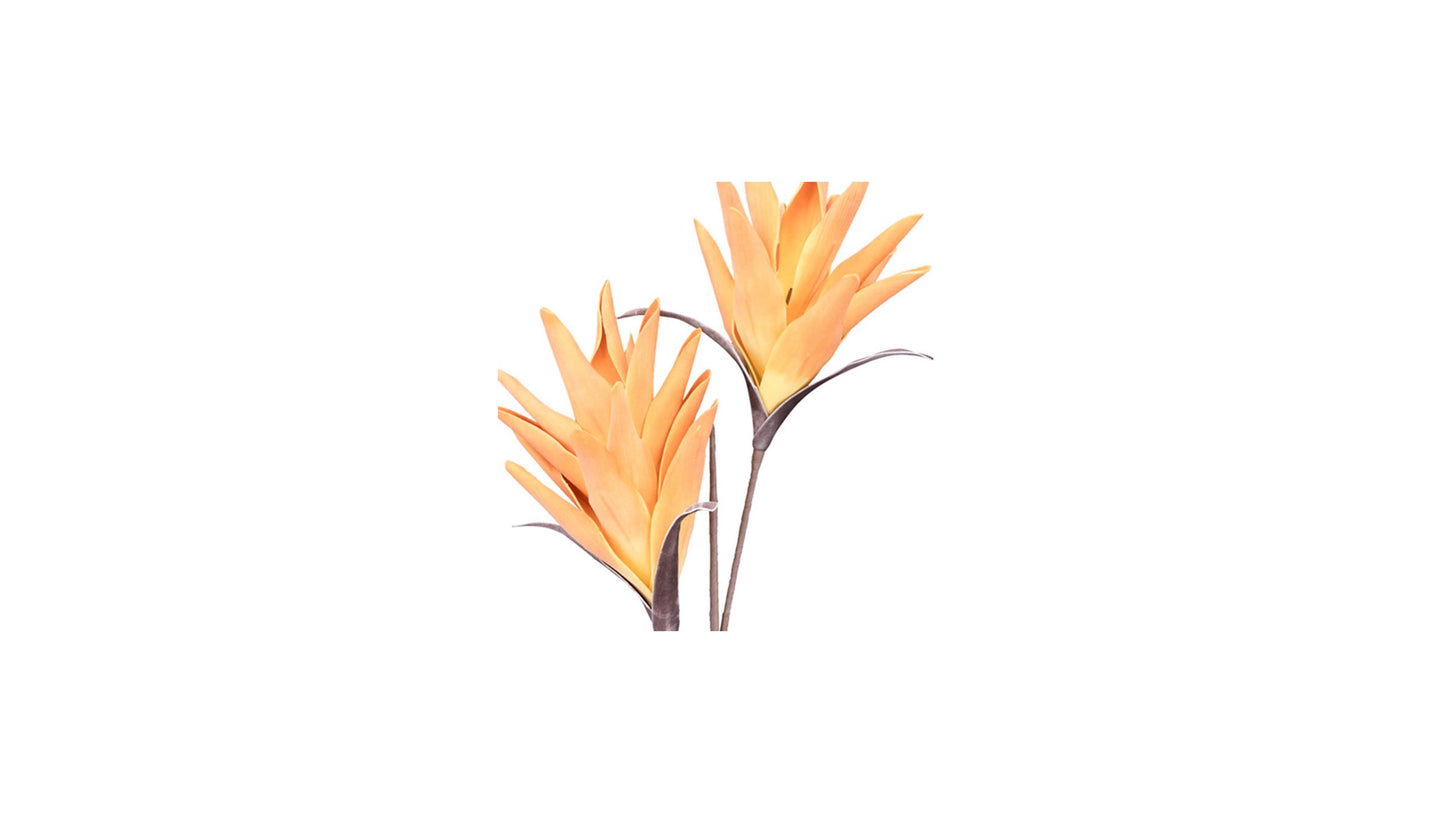 DESERT TROPIC PARADISE 112CM STEM