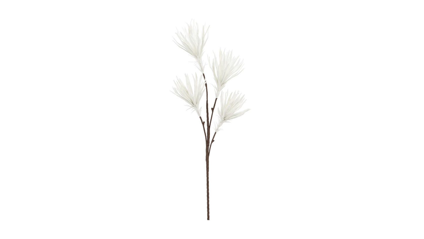 DESERT WHITE PAPYRUS 99CM STEM