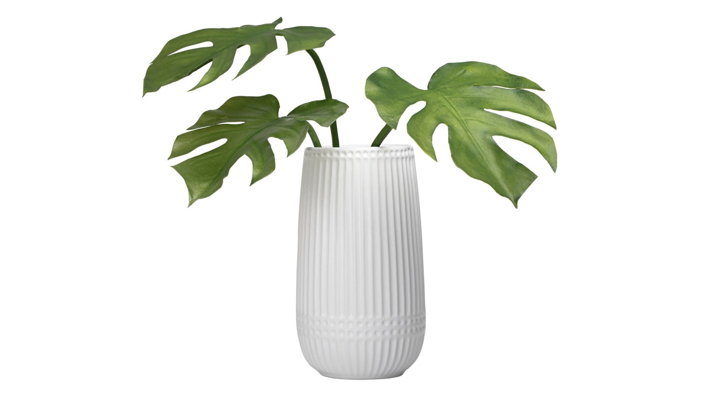 MONSTERA LEAF STEM