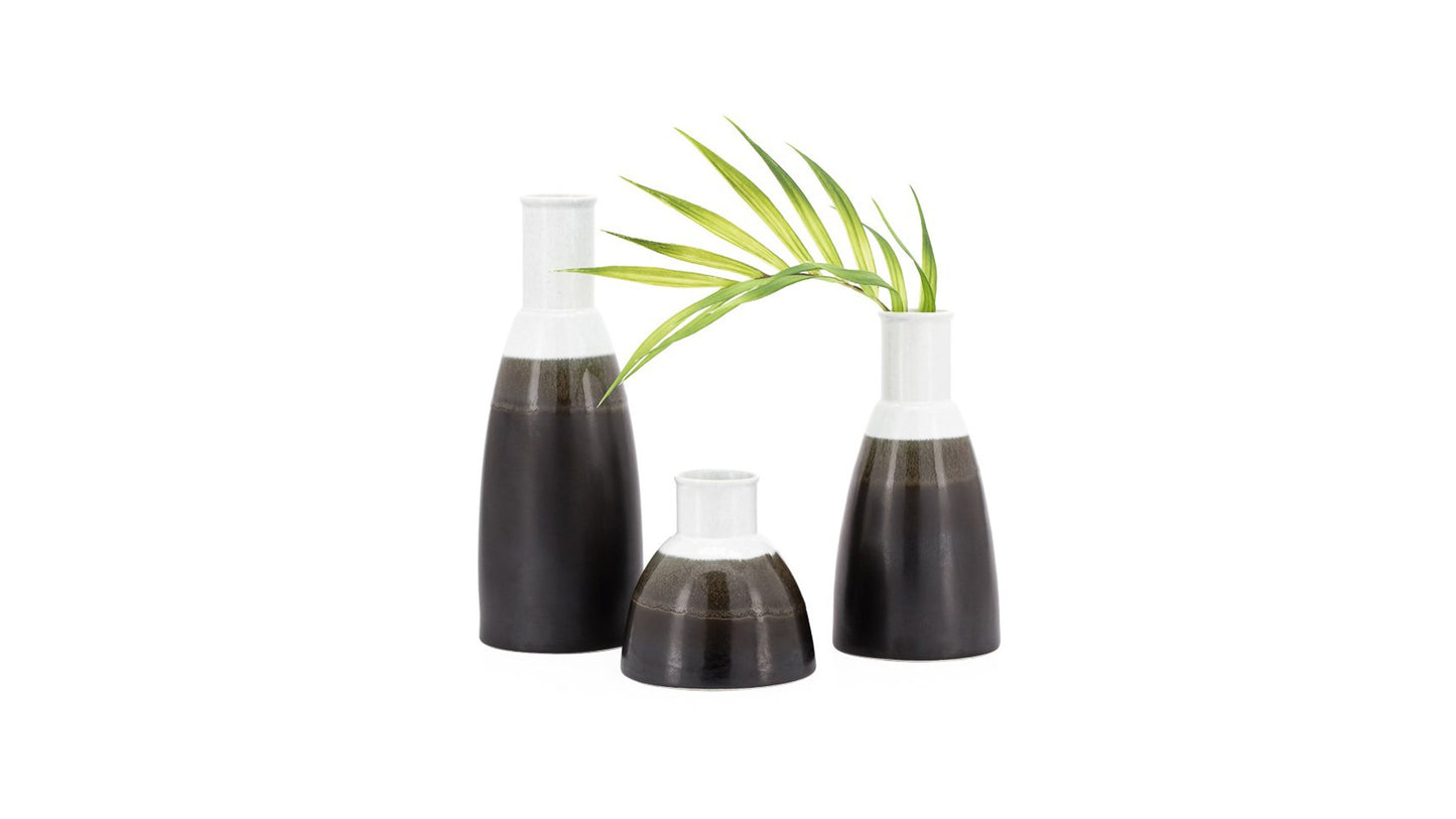 PALM LEAF STEM