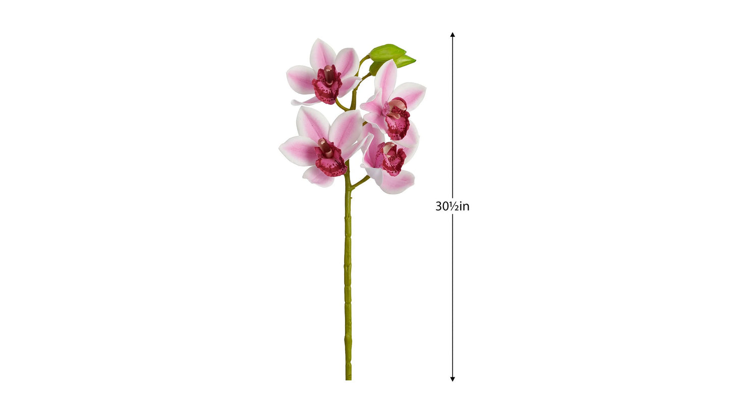 CYMBIDIUM ORCHID STEM