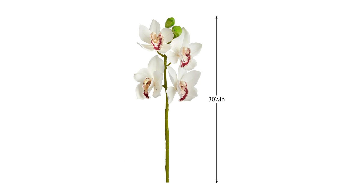 CYMBIDIUM ORCHID STEM
