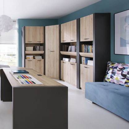 2 DOOR STORAGE CABINET EXECUTIVE