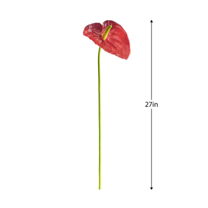ANTHURIUM STEM