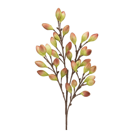 DESERT BURNISHED PODS 99CM STEM