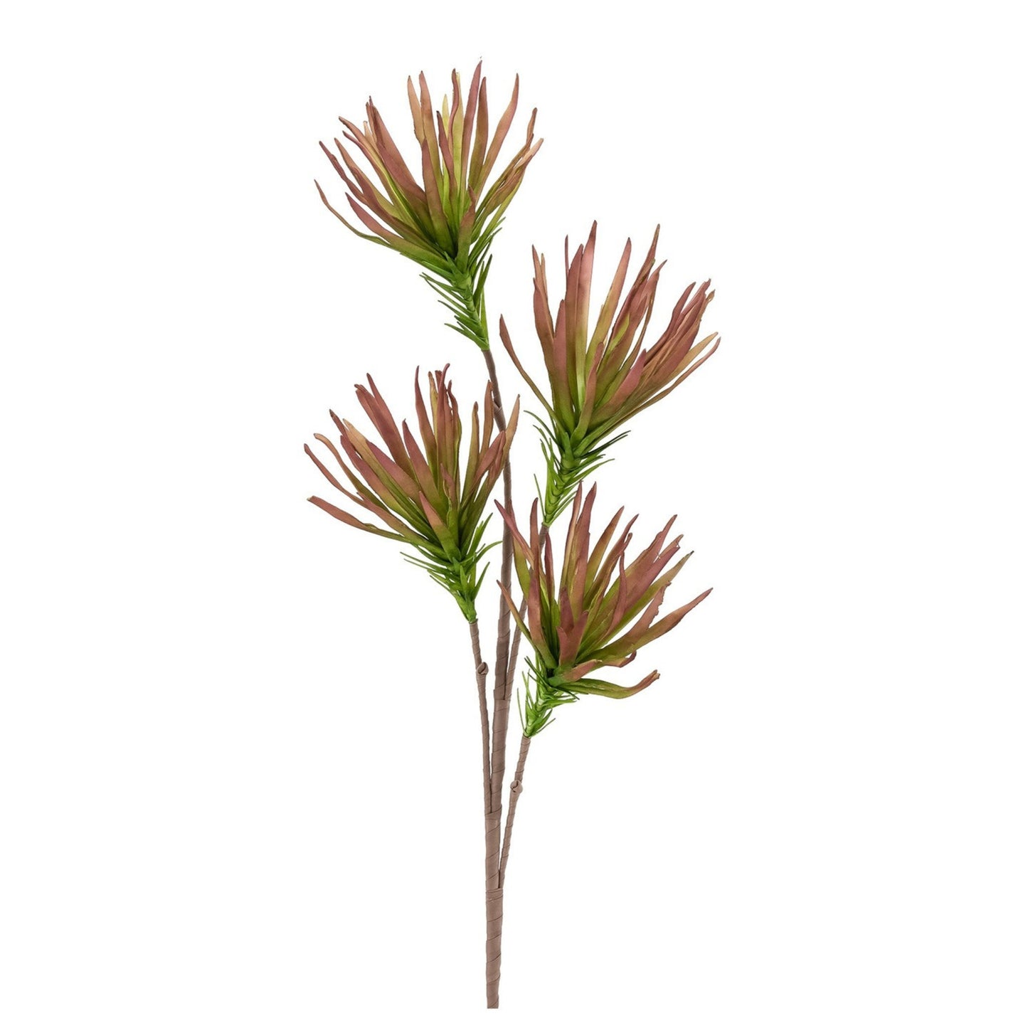 DESERT FRINGE RUBY PAPYRUS 99CM STEM