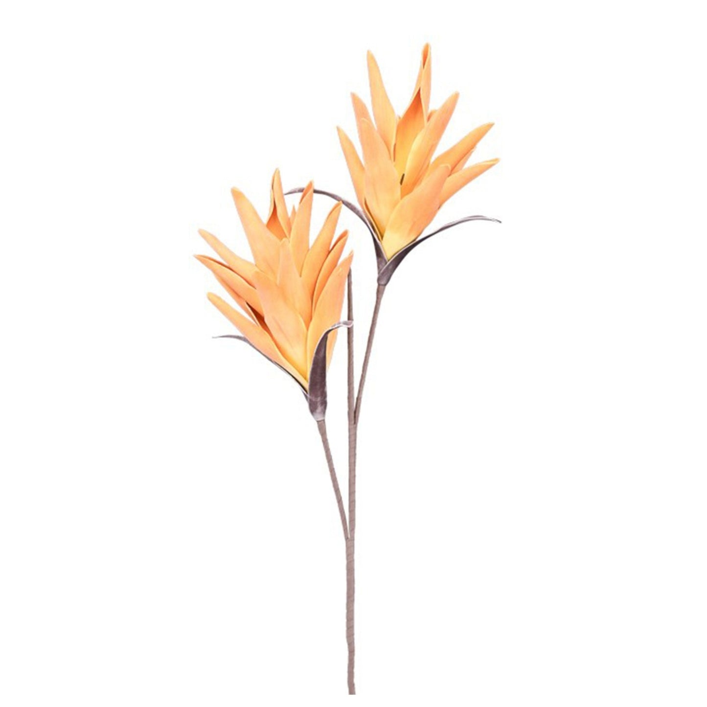 DESERT TROPIC PARADISE 112CM STEM