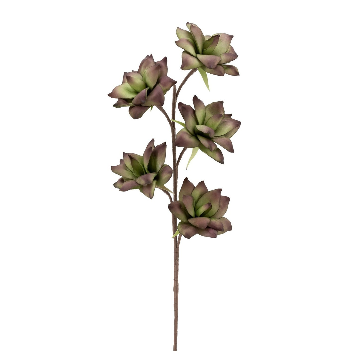 DESERT SUCCULENT 94CM STEM