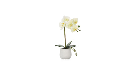 PHALAENOPSIS POTTED FAUX ORCHID