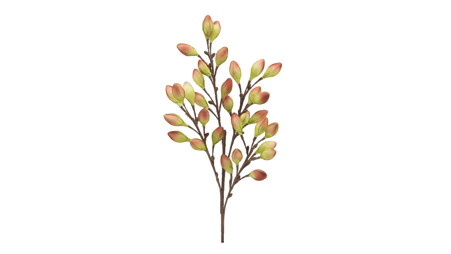 DESERT BURNISHED PODS 99CM STEM