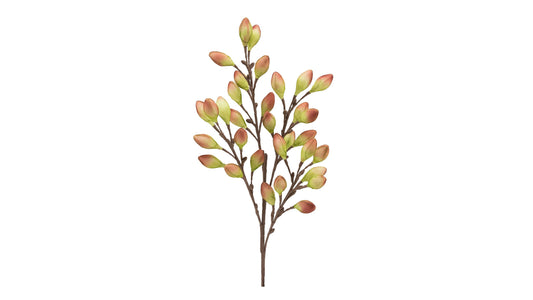 DESERT BURNISHED PODS 99CM STEM
