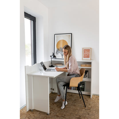 WORK CONCEPT DESK CW-01 (LEFT SIDE)