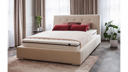 Hauss Bed Luxor - Modern upholstered bed