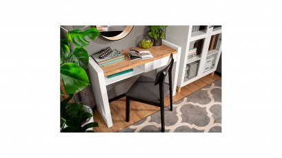  Alameda Desk - For a modern living room