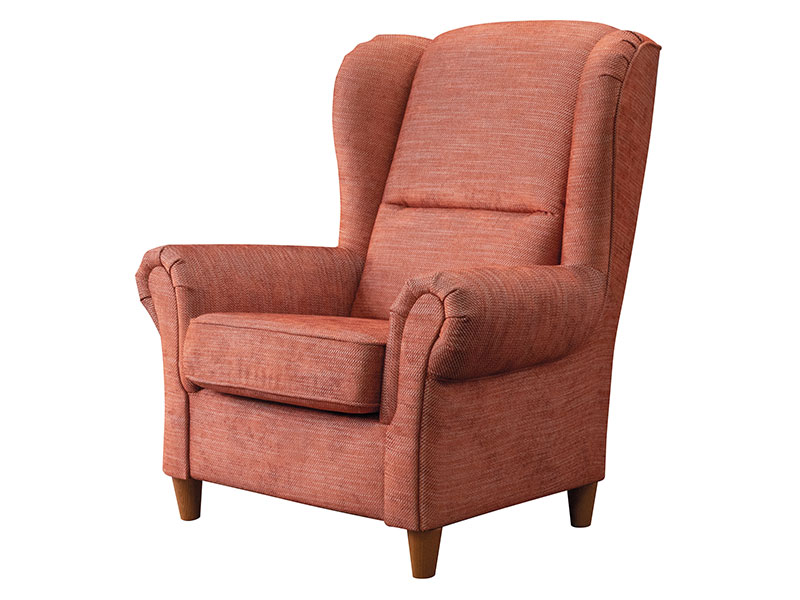 Libro Armchair Baron - Comfortable accent chair - Online store Smart Furniture Mississauga